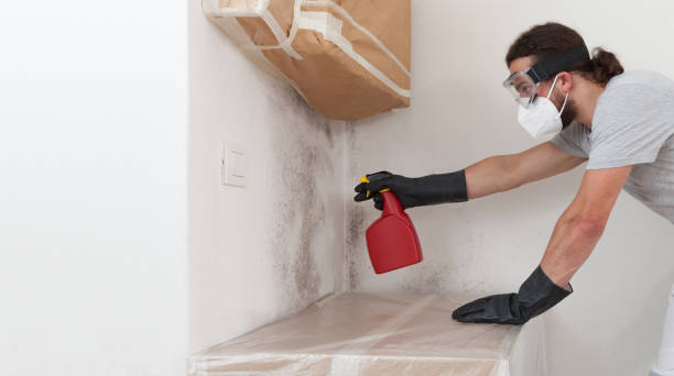 Professional Basement Mold Remediation technician working in Glen Mills, PA
