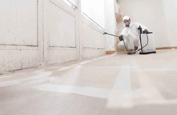 24/7 Emergency Basement Mold Remediation experts in Glen Mills, PA