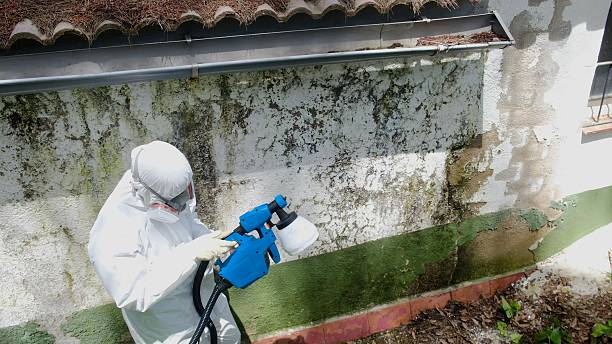 Top rated local Basement Mold Remediation specialists in Glen Mills, PA
